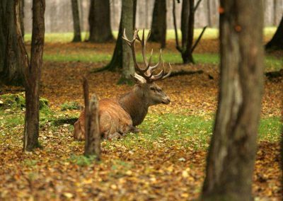 Беловежская (3)