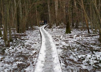 Березенский (3)