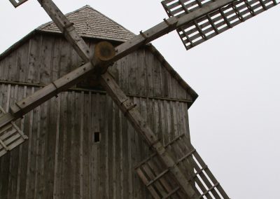 строчица (1)